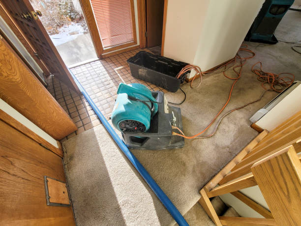 Best Flood damage cleanup  in Mcewen, TN