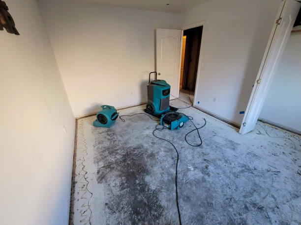 Best 24/7 water damage repair  in Mcewen, TN