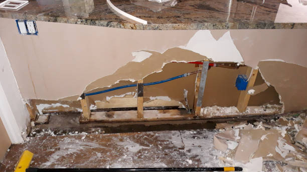 Best Water damage restoration near me  in Mcewen, TN