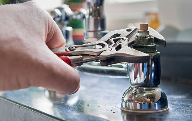 Best Local water damage restoration  in Mcewen, TN