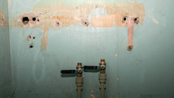 Best Water damage restoration near me  in Mcewen, TN