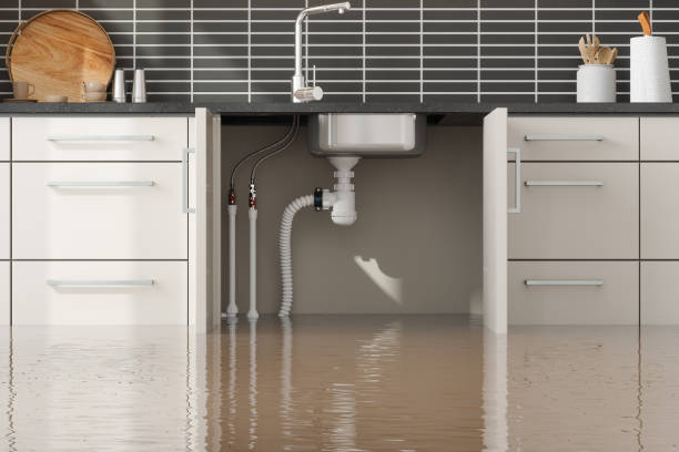 Best Flood restoration services  in Mcewen, TN