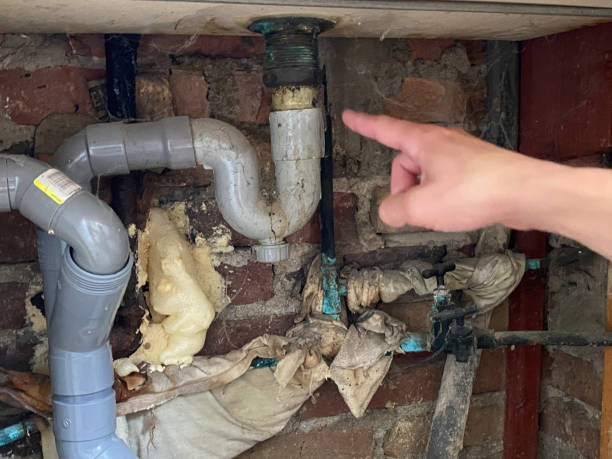 Best Water damage restoration cost  in Mcewen, TN