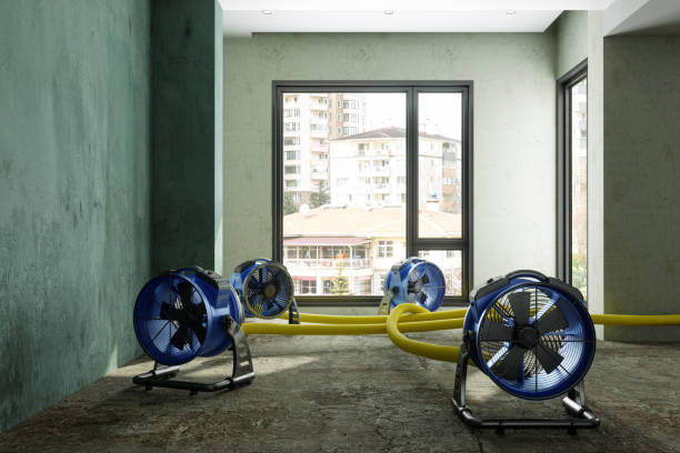 Best Water damage restoration insurance claims  in Mcewen, TN